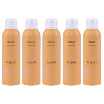 10x Elleure Modeler Textuur Droogshampoo 200ml