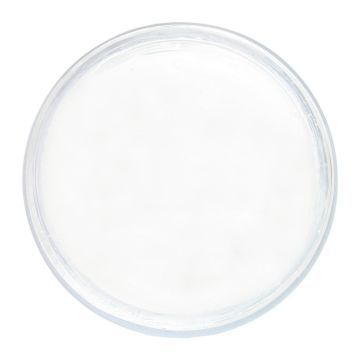 IBD Builder Gel Pure White pur weiß 14 g